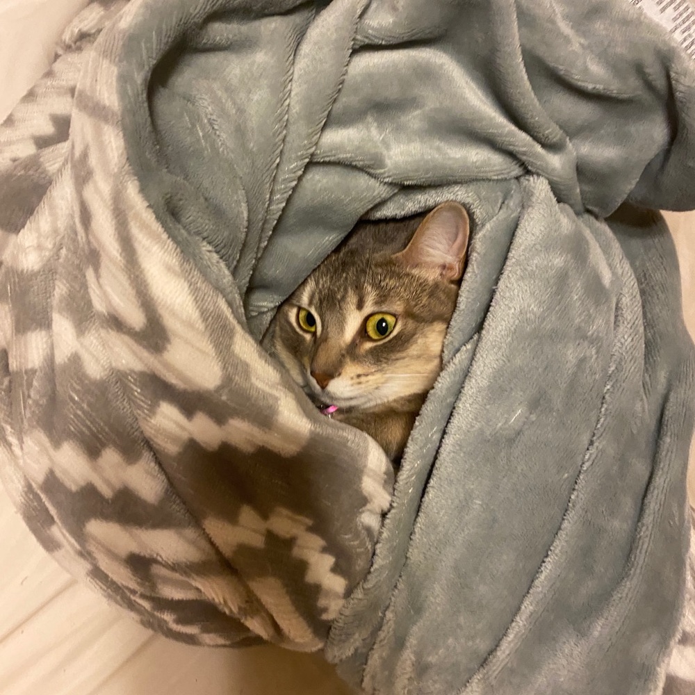 Meet your Posher, Emma